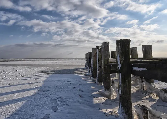 Amrum